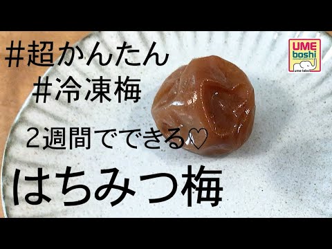 梅の冷凍:とても簡単です ライフスタイル
