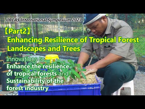 豪華なプール-円形ミラー-一体型壁