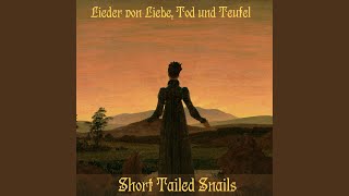 Kadr z teledysku Die Schwestern (Cruel Sister) tekst piosenki Short Tailed Snails