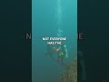 Scuba Diving Community: One Way or the Highway? #shorts