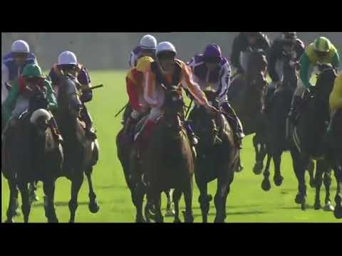 2000 Siege für den Champion-Trainer Peter Schiergen