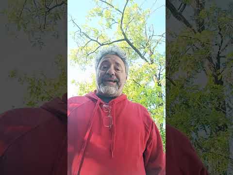 Le Startup secondo Chatgpt