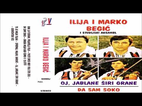 Braca Begic &  Oj jablane siri grane   (Audio)
