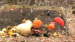 preview picture of video '2010 Pumpkin Massacre'