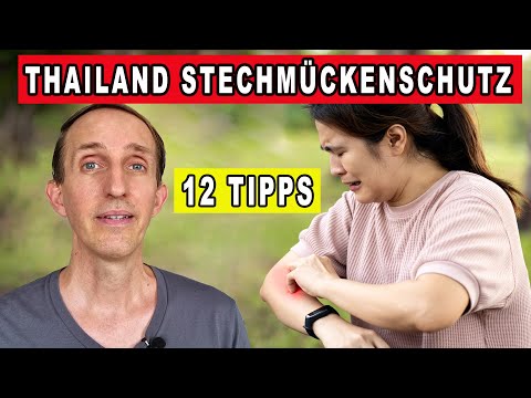 12 TIPPS GEGEN STECHMÜCKEN IN THAILAND [Leben in Thailand]