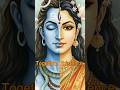 The Sacred Masculine And Feminine Shiv Shakti Shivshakti Shorts