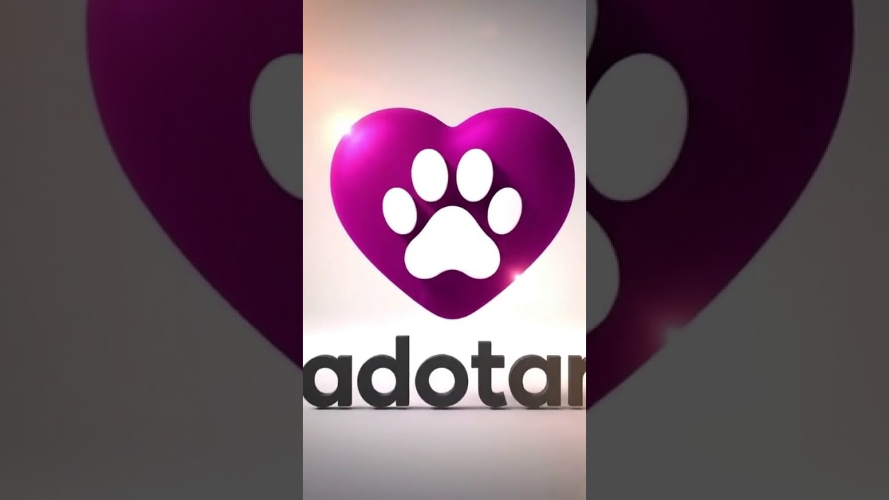 Cachorro raça SRD-ViraLata idade 1 ano nome Luke