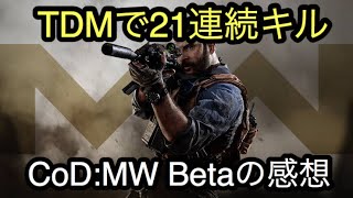 CoD:MW Betaの感想。+21連続キル [COD:MW]