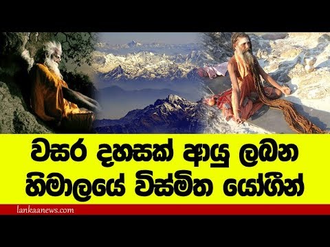 වසර දහස් ගණන් ආයුෂ ලබන විස්මිත යෝගින් - Incredible yogi