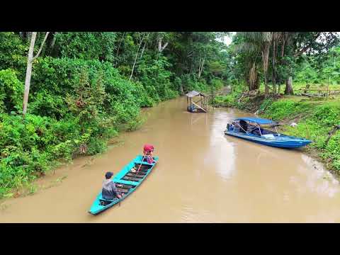 Manicoré – Um Tesouro no Coração do Amazonas