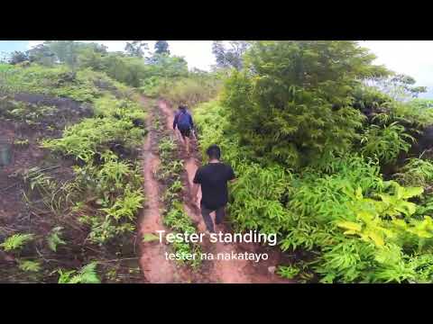 Farm Tour in Brgy Capalong Real Quezon - Windmill Farm Project Located Here Coming Soon