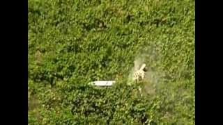 preview picture of video 'Pesticidi a La Bella (2) di Follina (TV) - DOCG Violazione del RPR'