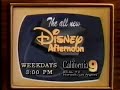 The Disney Afternoon Short Promo 1991