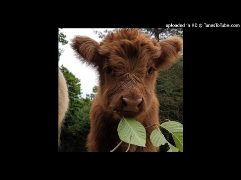 [FREE FOR PROFIT] MexikoDro x Stupidxool x Ka$hdami Pluggnb Type Beat