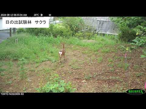 動画のサムネイル