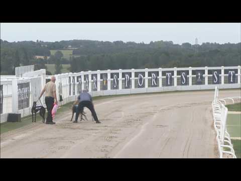 Towcester TV Live Stream - Jul 18, 2017