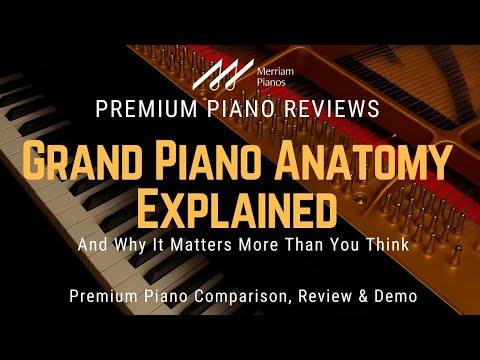 🎹 What Makes a Truly Great Instrument? (Hint: It’s Not the Logo) 🎹