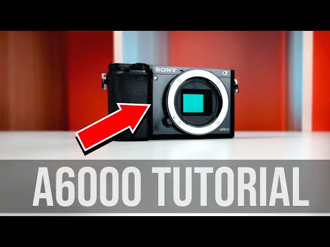 Sony a6000: Full Manual Control Photography Tutorial in 2021