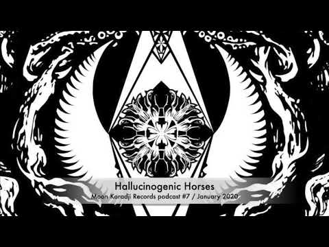 Moon Koradji Records podcast #07 with Hallucinogenic Horses / January 2020