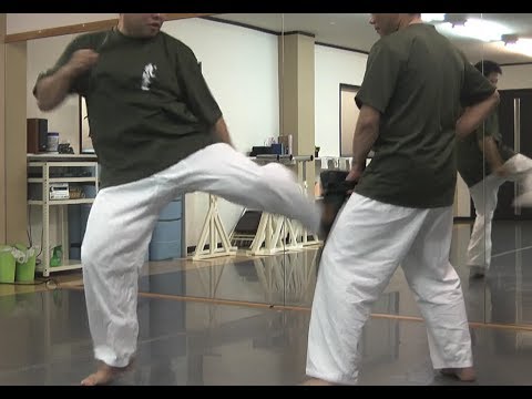勝つための基本技　下段蹴り（インロー）