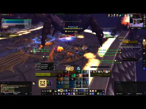 Warcraftier VS Garalon 25N - Holy Priest PoV