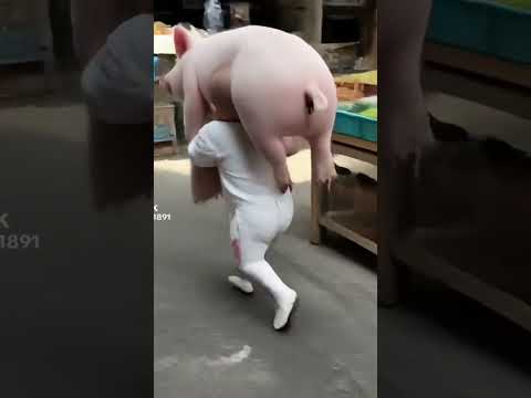 STRONG BEH BEH 😂😂