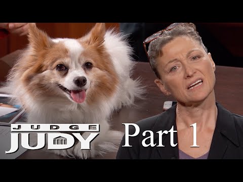 Dogs Attack Service Dog in Coffee Shop | Part 1