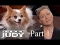 Dogs Attack Service Dog In Coffee Shop Part 1