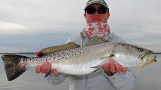 preview picture of video 'Mosquito Lagoon Gator Seatrout Fishing'