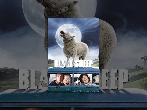Black Sheep