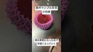 【脱ギャンブル生活27日目】桃の季節になったぞ、みんな桃を喰らえ。