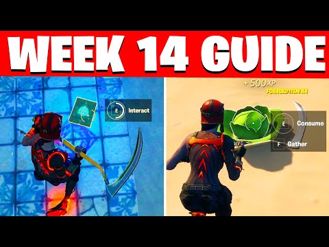 ALL WEEK 14 CHALLENGES FORTNITE SEASON 5 ( WEEK 14 CHALLENGES / EPIC QUESTS )