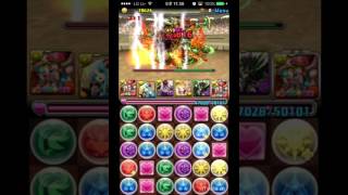 [극한의 투기장1] 하토르 분기궁진