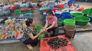 Picking wild vegetables - Picking up stone snails to sell. Daily life of a rural girl