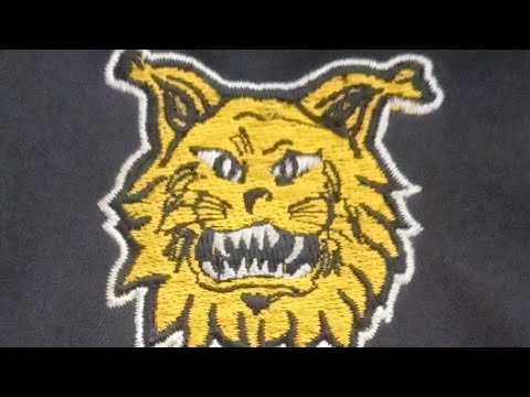 Ilves Colorado - HC Nokia Oranssit