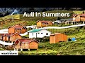 Delhi To Auli AULI In Summer Musafir E Safar