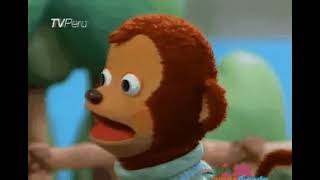 Shocked monkey gif