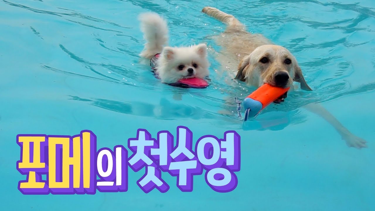 행성이의 첫수영 ~ 신나게 하루를 탕진해요