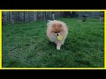 10 Items To Fetch With Spy