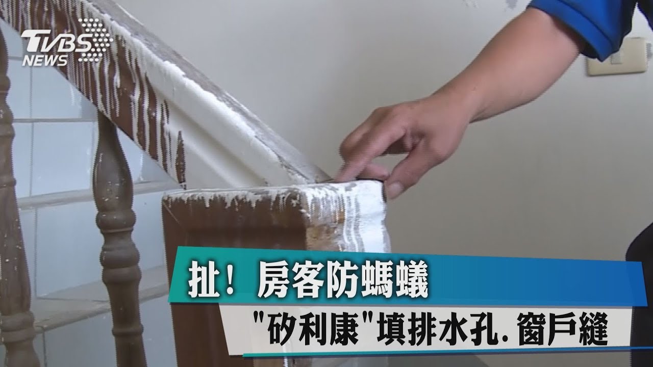 扯!房客防螞蟻 「矽利康」填排水孔、窗戶縫