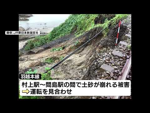  10月は庭で何をしましょうか？涼しい天候に備えるための必須の操作  庭園