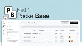 PocketBase Nedir? - Open Source backend