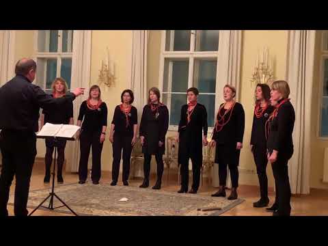 Tu es (Vytautas Miškinis) - Frauenensemble vocal orange