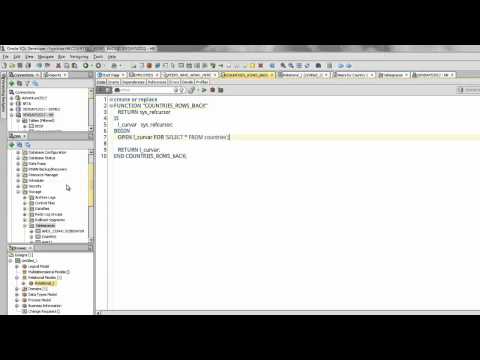 Oracle SQL Developer Major Feature Demonstration