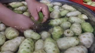 Bị suy giản tĩnh mạch giảm 80% nhờ hủ nhàu