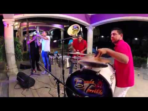 La vida del leon con banda. Maximo grado