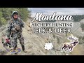 Montana Archery Elk and Deer Hunt (2022) - The Suffer is Real!
