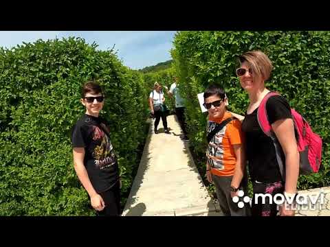 Bora Lavirint,Batočina