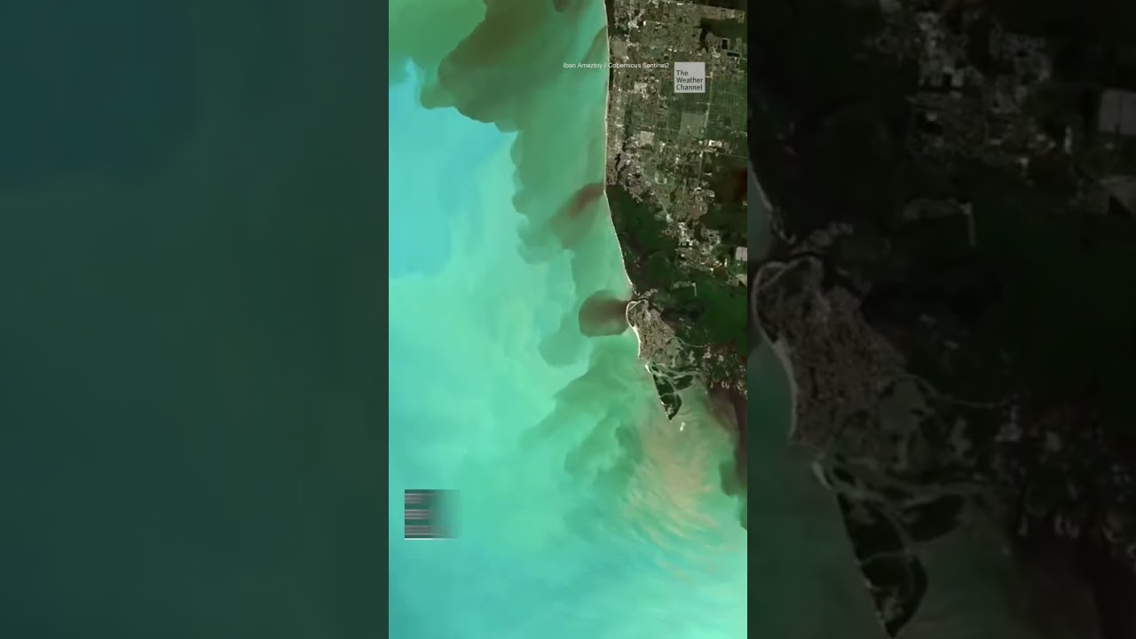 How Many Hurricanes Have There Been In The Gulf Of Mexico Tipseri how-many-hurricanes-have-there-been-in-the-gulf-of-mexico-tipseri