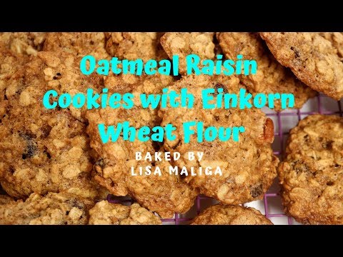 download lagu mp3 mp4 Einkorn Cookies, download lagu Einkorn Cookies gratis, unduh video klip Einkorn Cookies